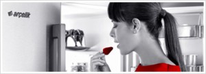 arçelik buzdolabi servisi